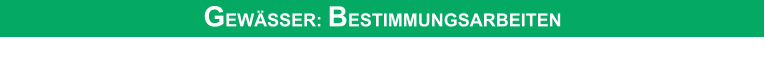 GEWSSER: BESTIMMUNGSARBEITEN